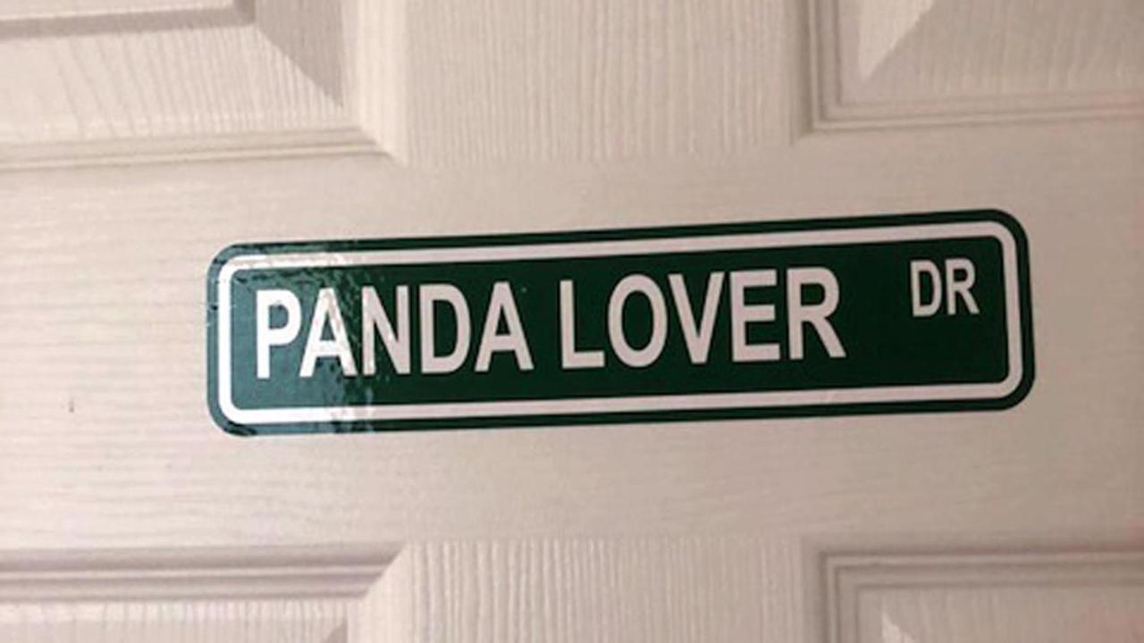 Panda Palace Apartment