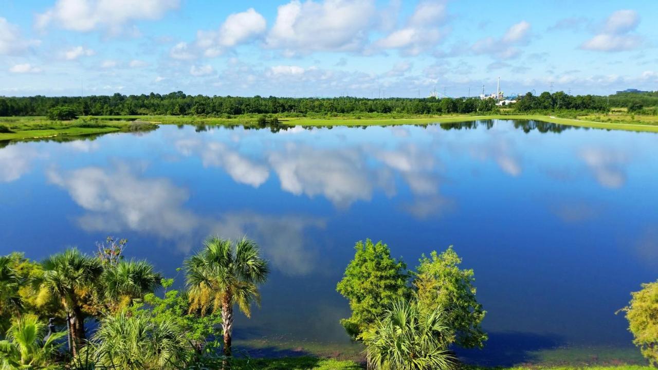 Spectacular Lakeview Condo, Near Wdw & Universal Apartment