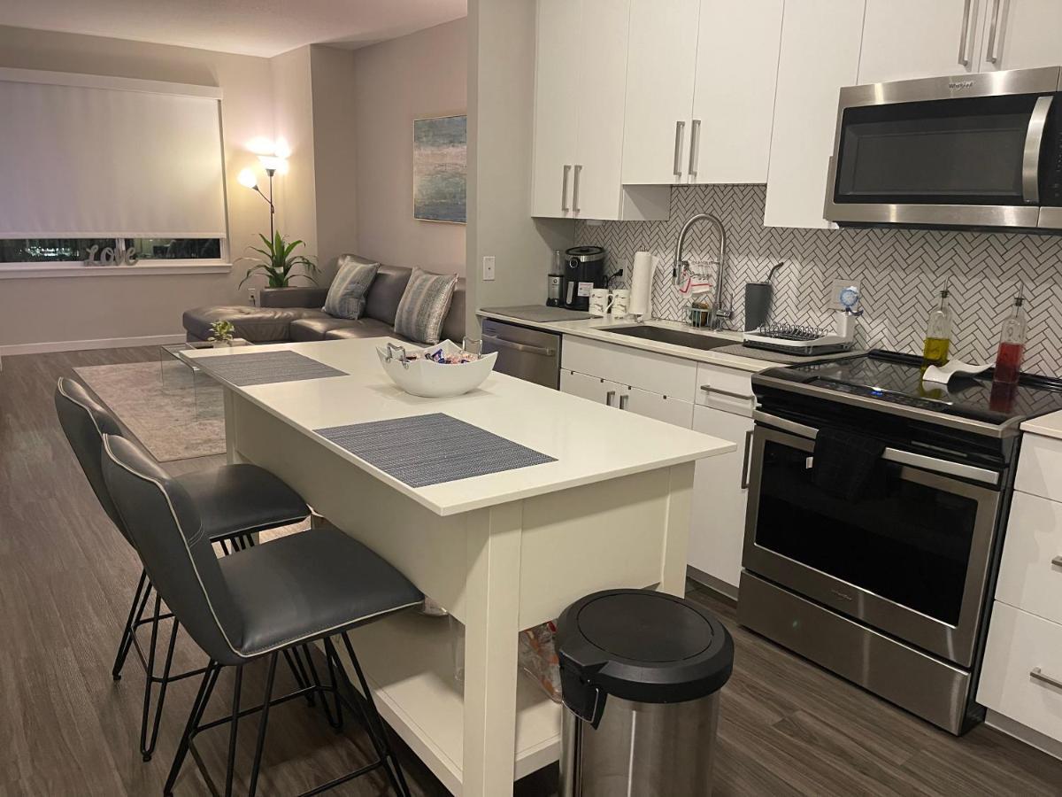 Luxury Downtown Apartment