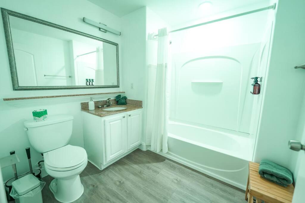 Apartment 11th Floor 5 Min From