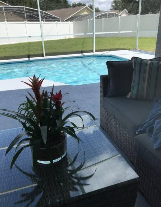 Big Pool Heater,no Laundry! Huge Yard,5 Bedroom,3 Bath Free Wifi, Close To Disney, Walmart,stores Restaurants Few Minutes From The House * Orlando