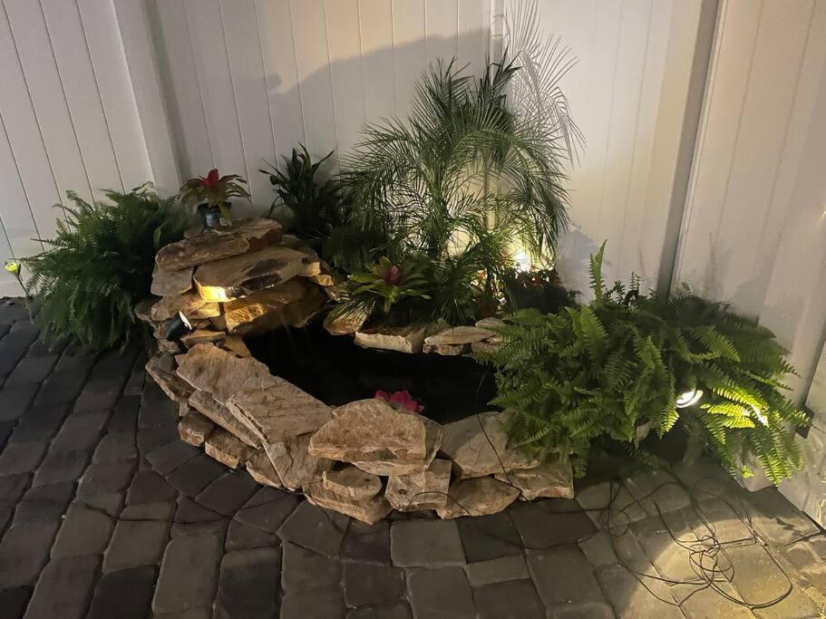 The Tiny In The Springs/ Fl *