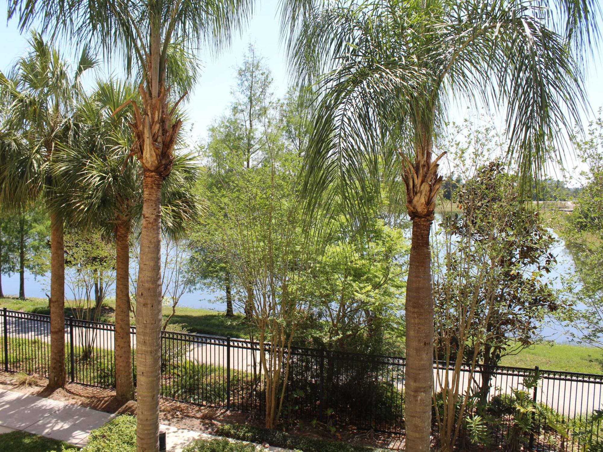 205 - Disney, Universal, Convention Center Apartment *