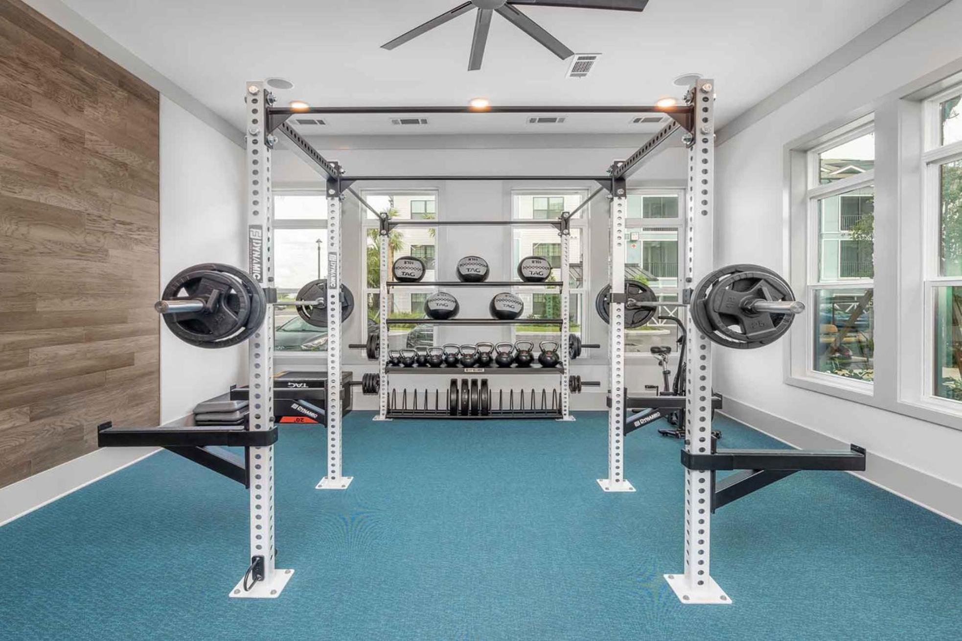 Full Apartment, Near Disney, King Bed, Pet-friendly Full Amenities * Orlando