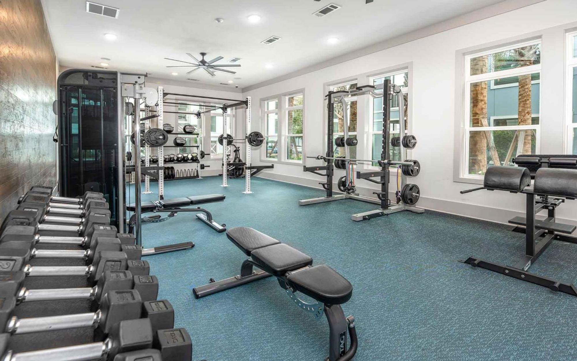 Apartment Full With King Bed, Pet-friendly & 15 Min To Parks And Lots Of Amenities