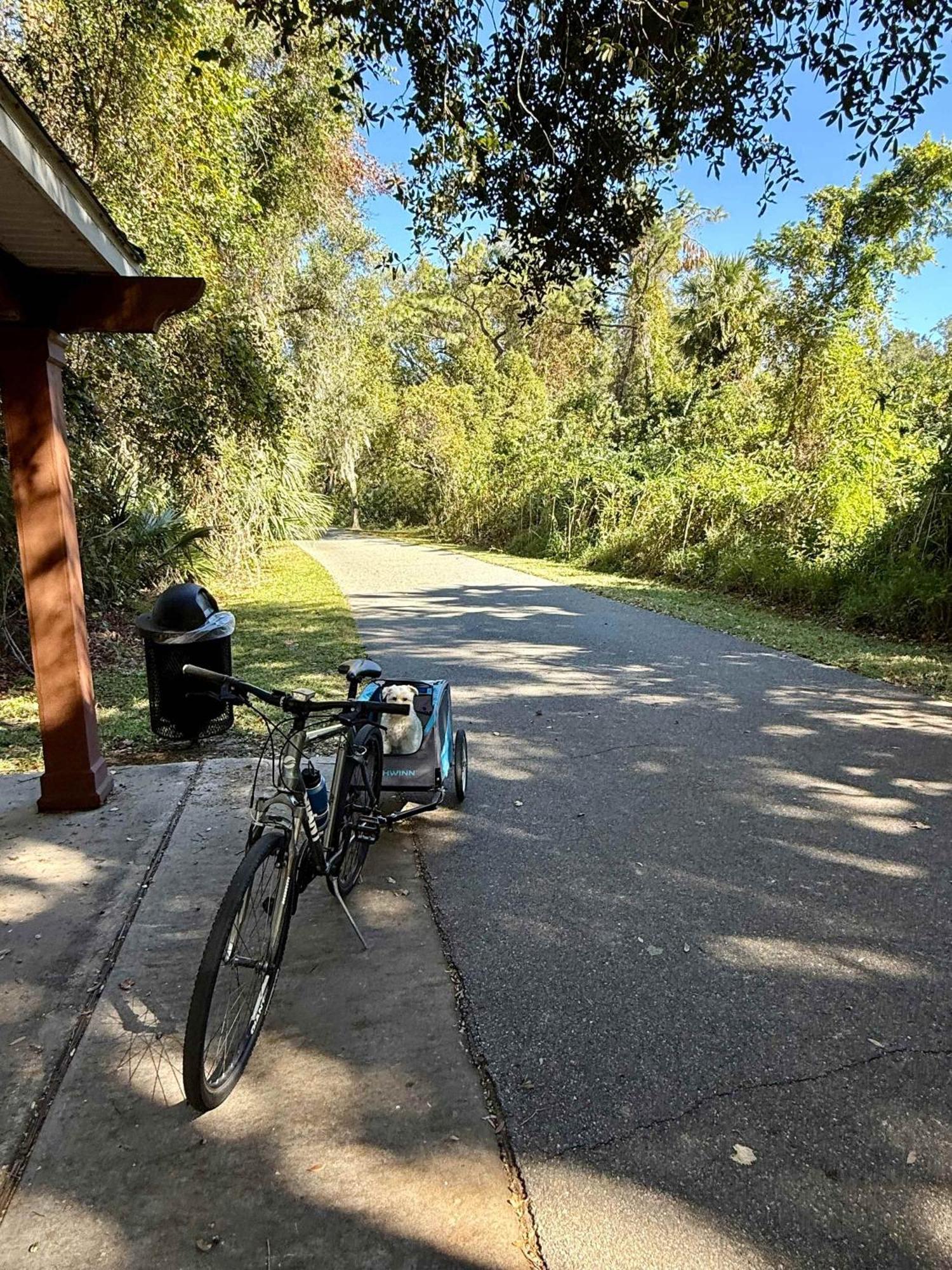 Funtropicaltinyhomegolfcartlake