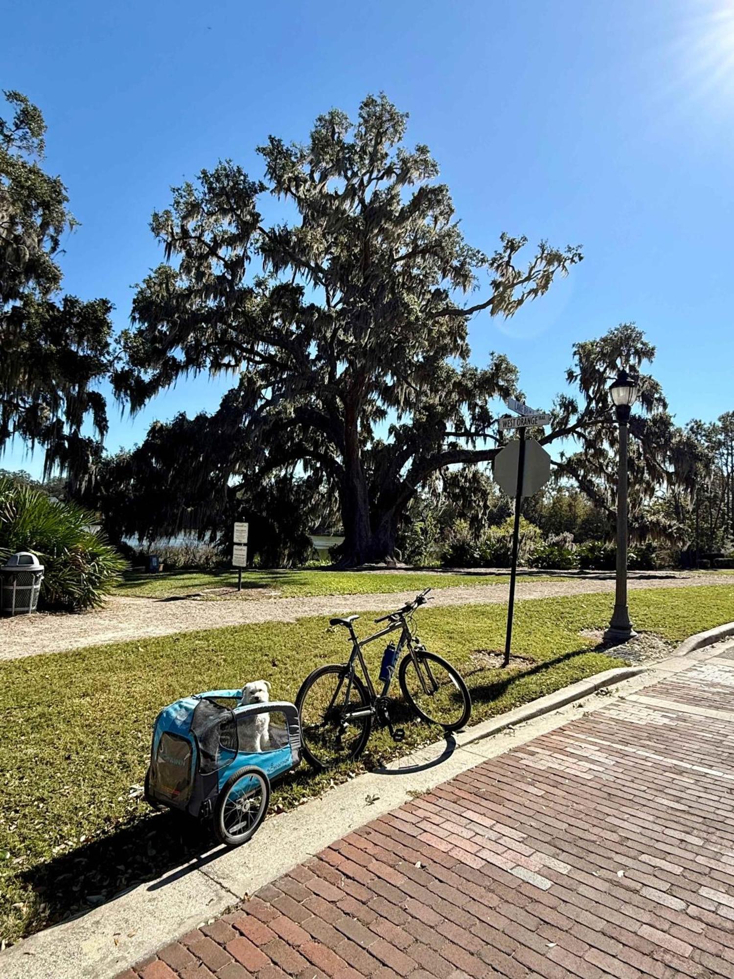 Funtropicaltinyhomegolfcartlake Holiday home Orlando