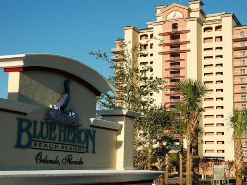 Blue Heron Orlando