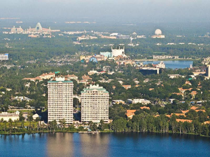 Blue Heron * Orlando