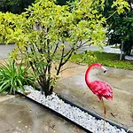3Bdrm Fruit Tree Home Near Downtown Orlando
