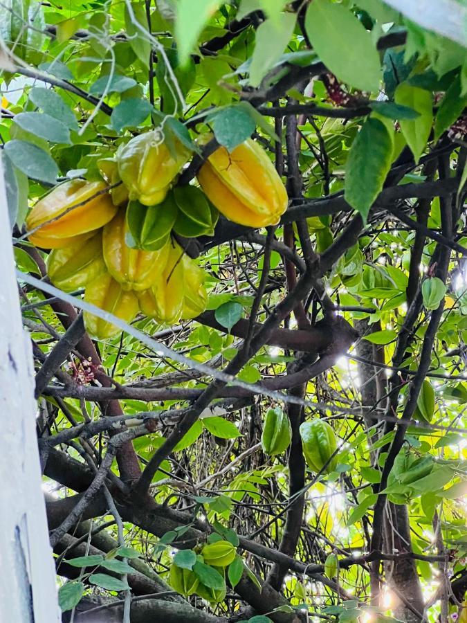 3bdrm Fruit Tree Near Downtown Holiday home