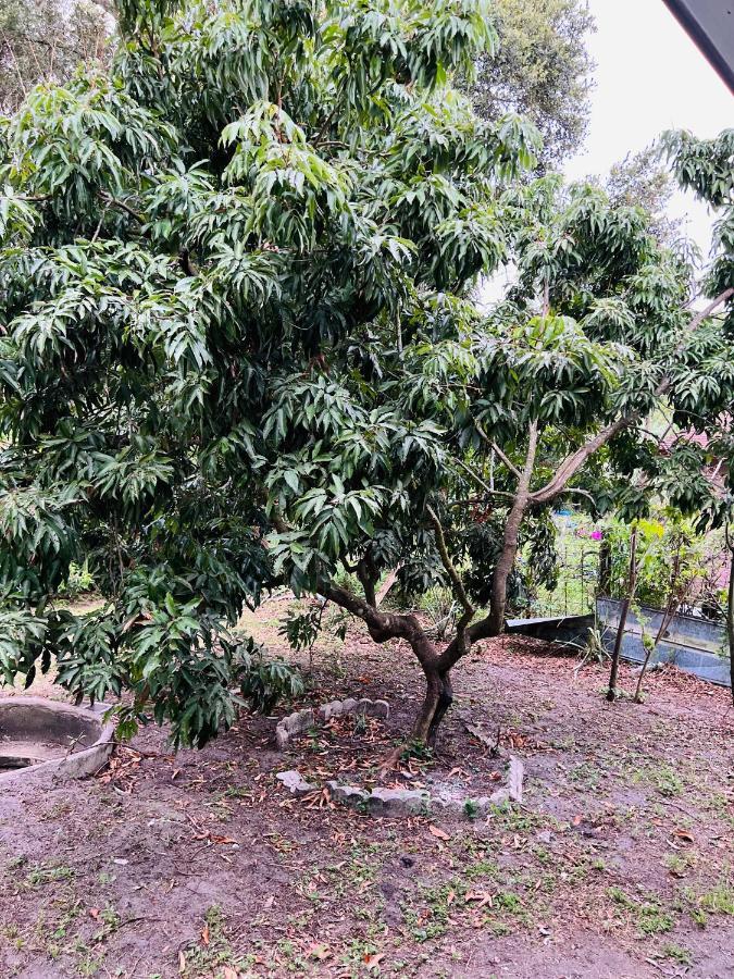 Holiday home 3bdrm Fruit Tree Near Downtown Orlando
