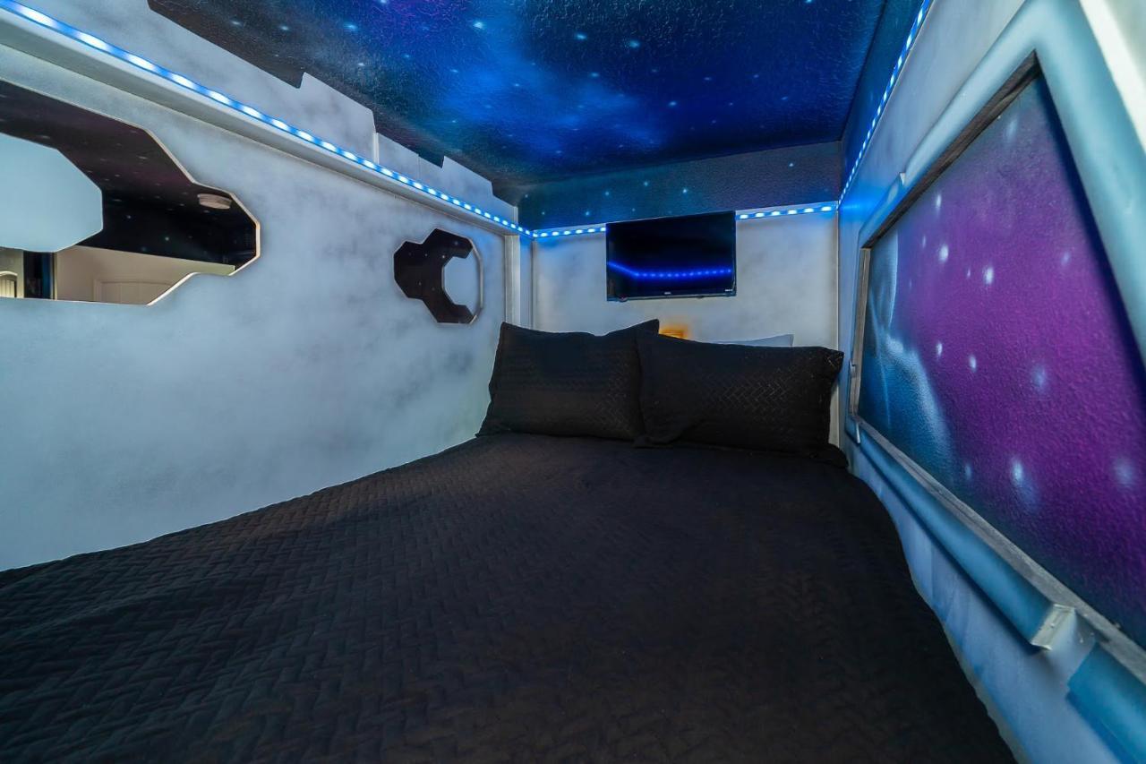 Spectacular Oasis Of Fun! Book For The Fun!