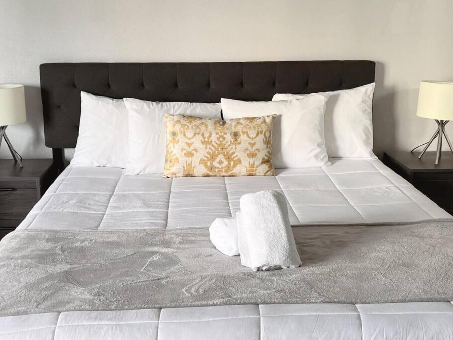 Gorgeous Near Parks And Convention Center Apartment *