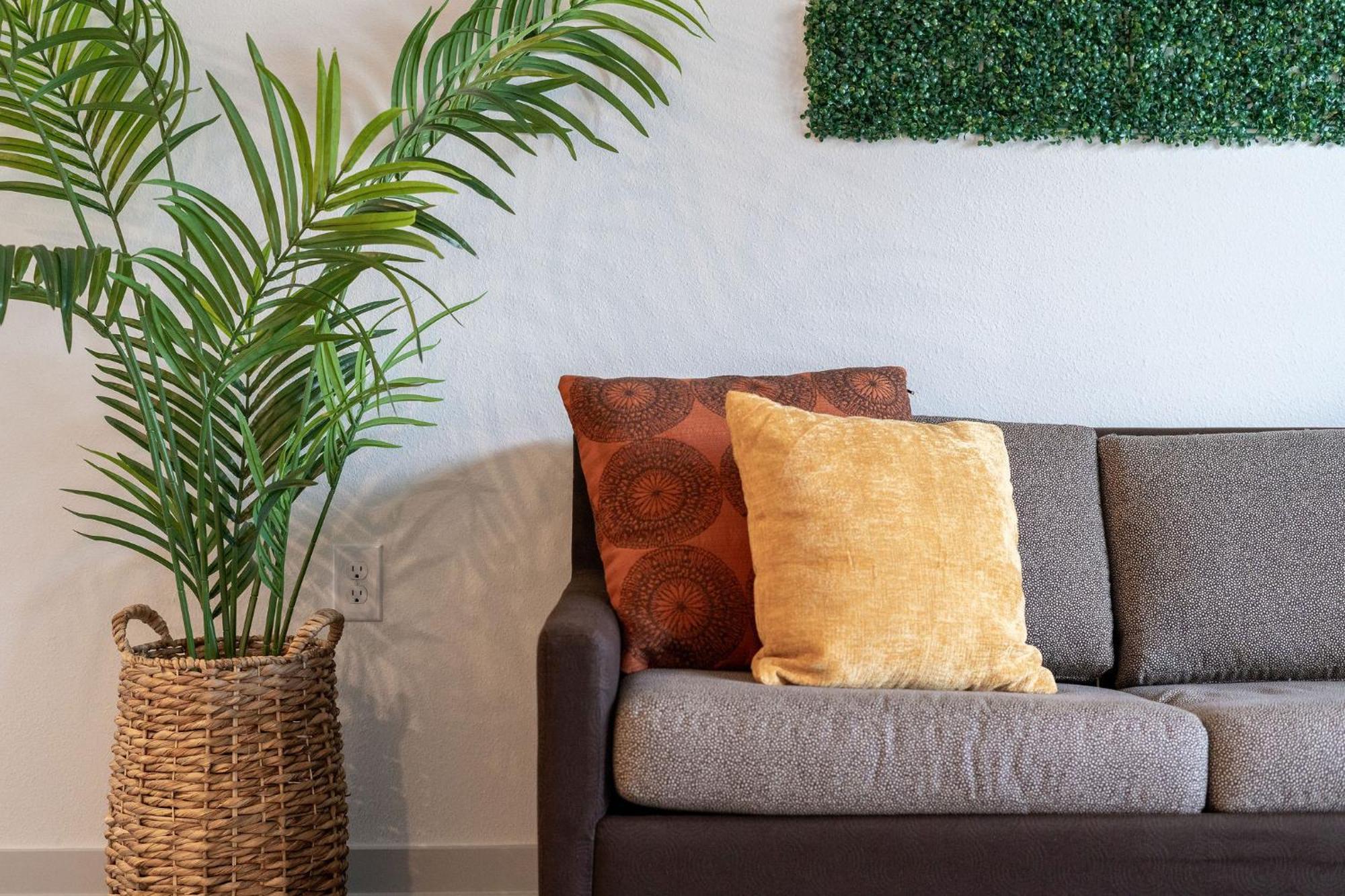 Apartment Complete Lush 10 Min To Parks Pets Allowed, Resort-style Amenities