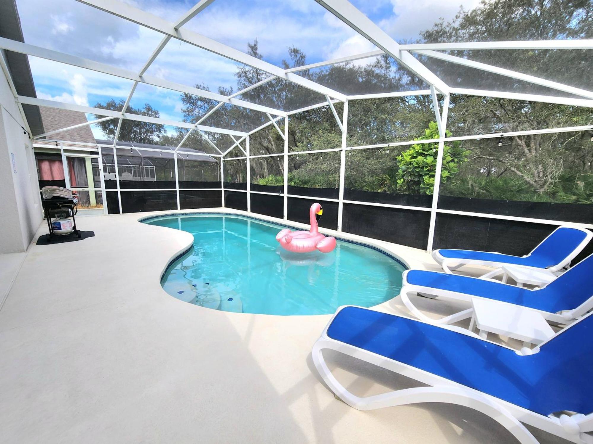 Close To Parks/amazing Private Pool