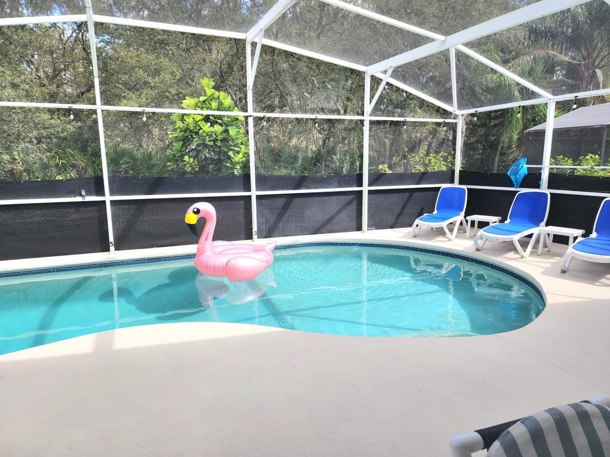 Close To Parks/amazing Private Pool Holiday home Orlando