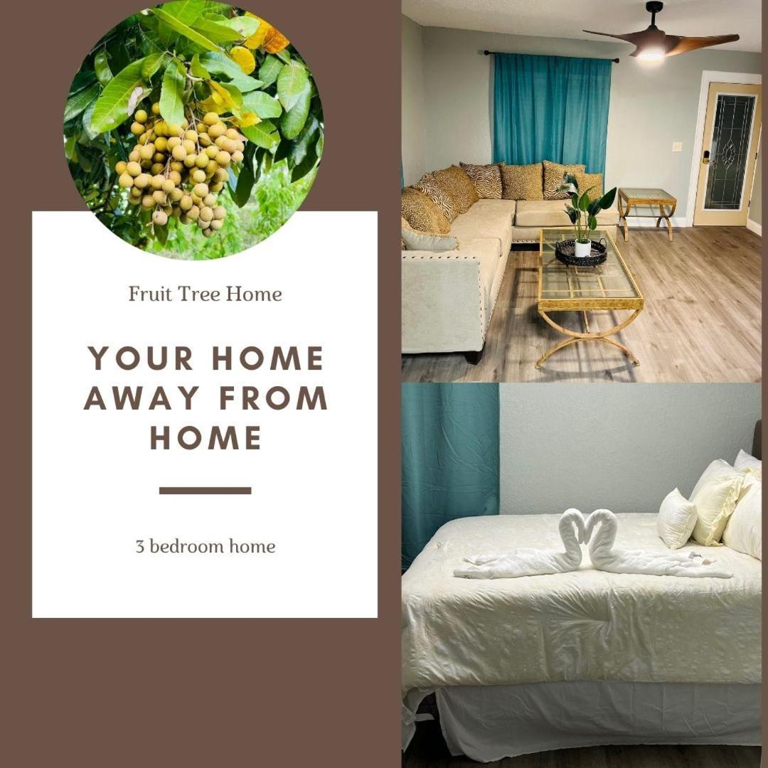 3bdrm Fruit Tree Near Downtown * Orlando